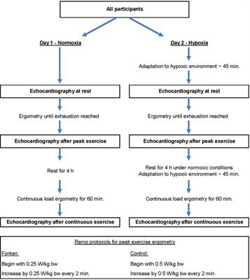 Systemic ventricular function in Fontan patients at rest and after exercise at altitude